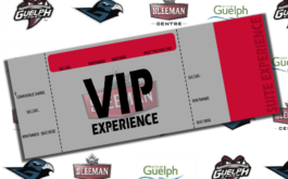 VIP Experience image