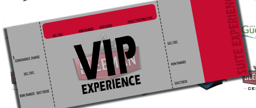 VIP Experience image