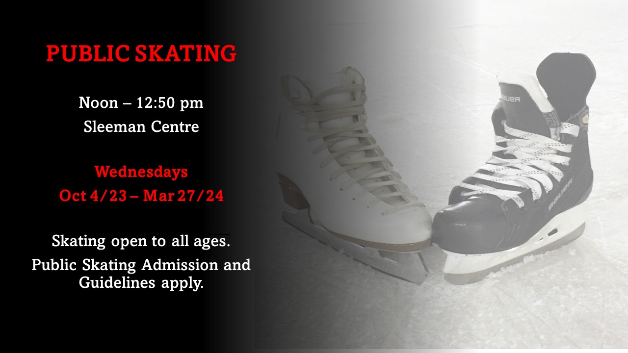 Public Skating Poster 2023 2024